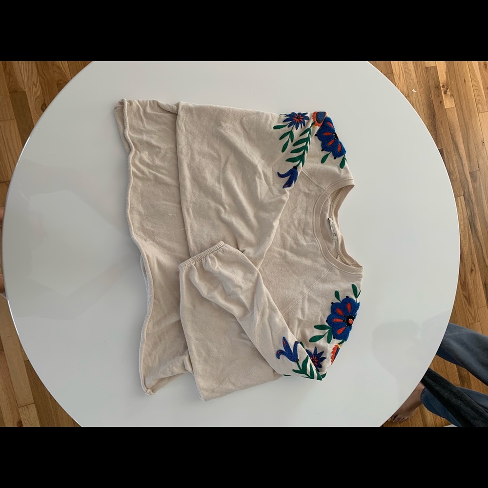 Zara Lower Crop Top Winged Sleeves